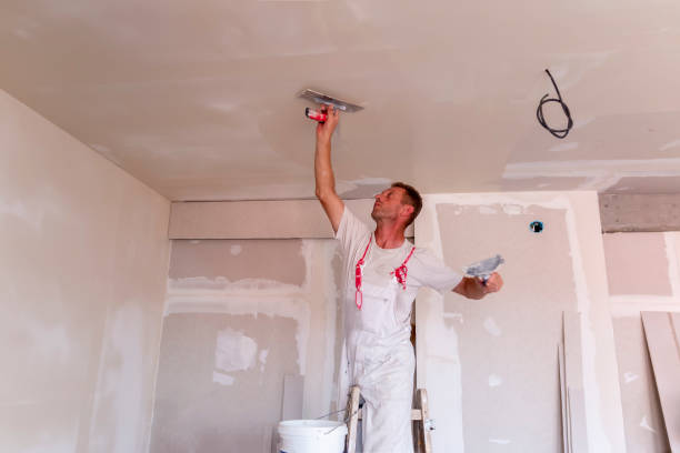 Best Touch-Up Painting  in Harbor Bluffs, FL