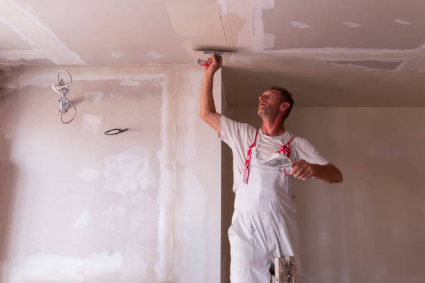 Best Drywall Installation  in Harbor Bluffs, FL