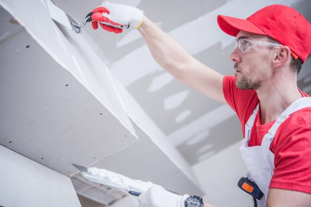 Best Drywall Sanding and Smoothing  in Harbor Bluffs, FL